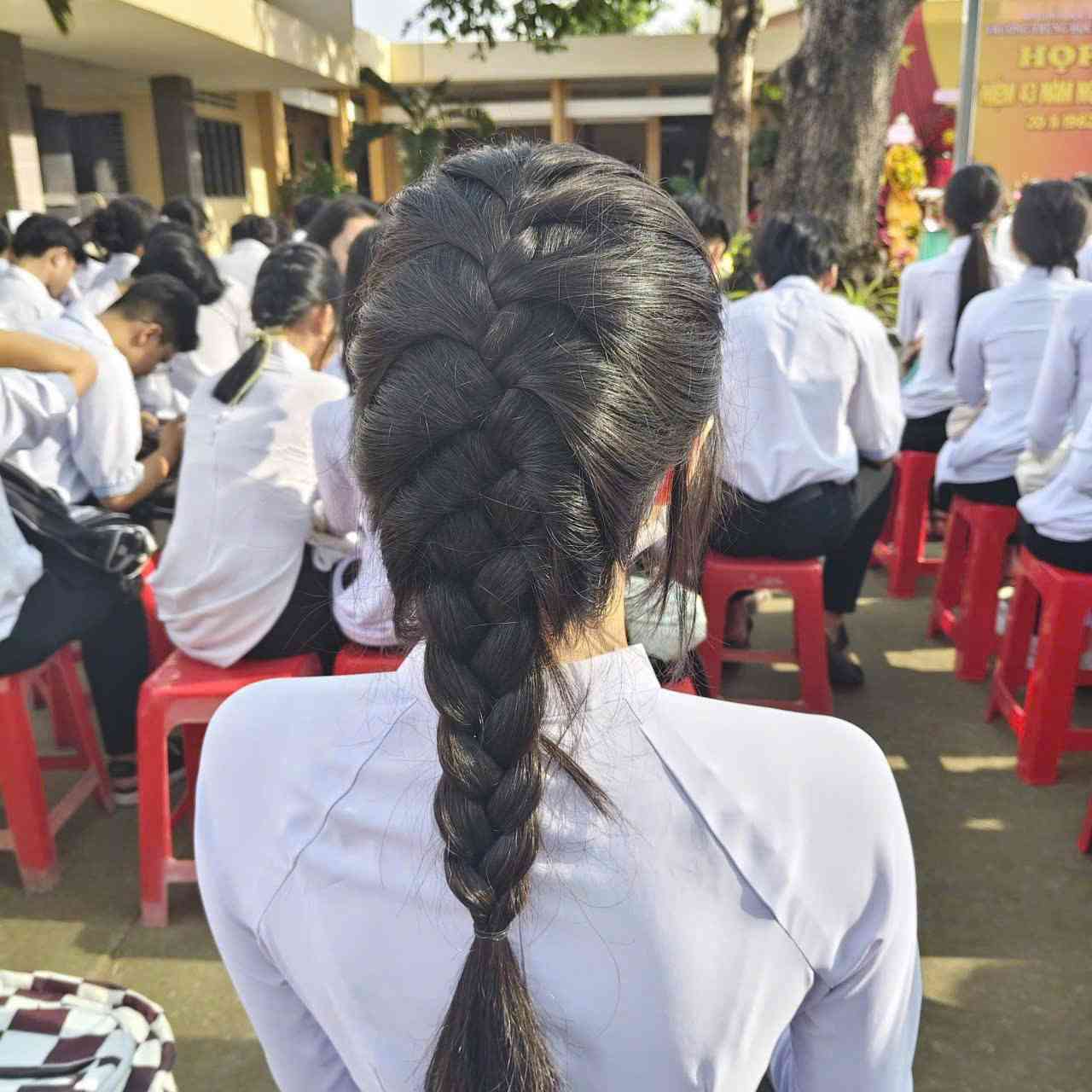 profile